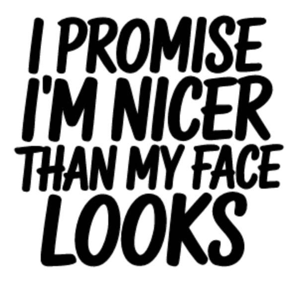 "I'm nicer than my face looks" Decal Custom