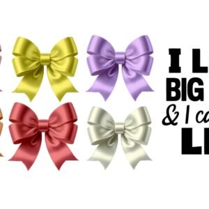 "I like big bows and can not lie" Decal