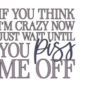 "Wait until you piss me off" Decal